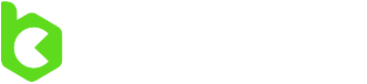 bc game casino logo